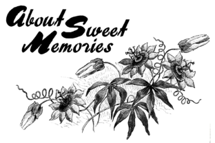 Bring a Raw Edge to Your Brand with About Sweet Memories Font