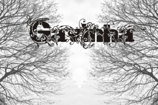 Gavinha: A Typeface That Captures Attention and Defines Character