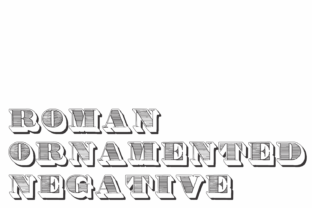 Roman Ornamented: A Bold Choice for Commanding Visuals